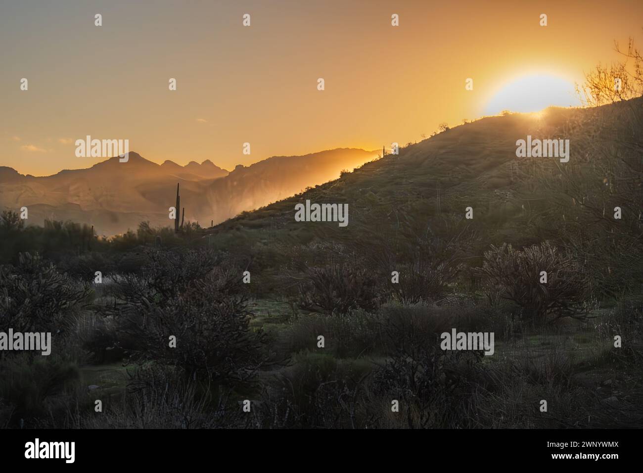 Il sole sorge sulle montagne dell'Arizona Foto Stock