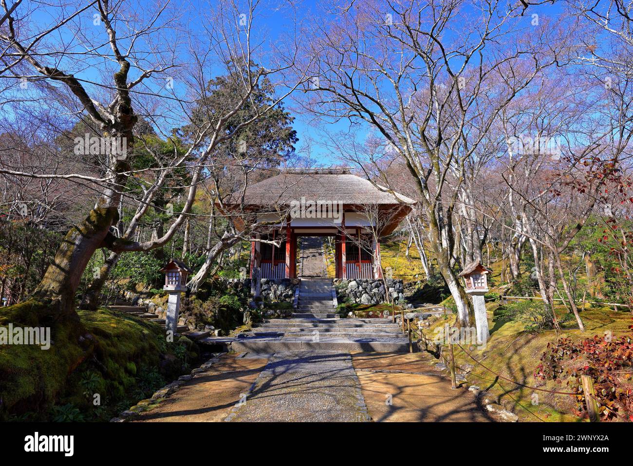 Tempio Jojakkoji, un tempio buddista in una foresta tranquilla a Sagaogurayama Oguracho, Ukyo Ward, Kyoto, Giappone Foto Stock