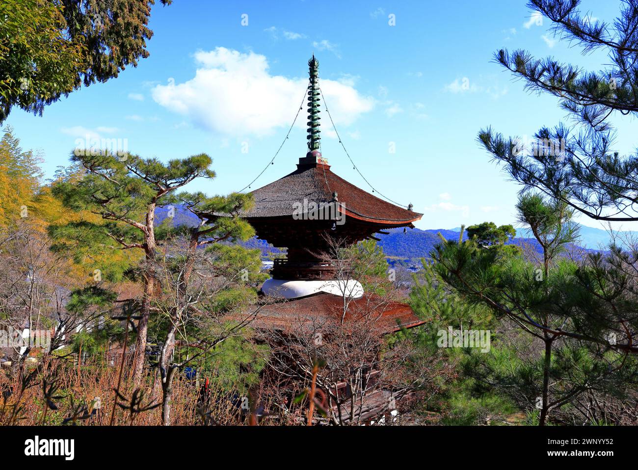 Tempio Jojakkoji, un tempio buddista in una foresta tranquilla a Sagaogurayama Oguracho, Ukyo Ward, Kyoto, Giappone Foto Stock