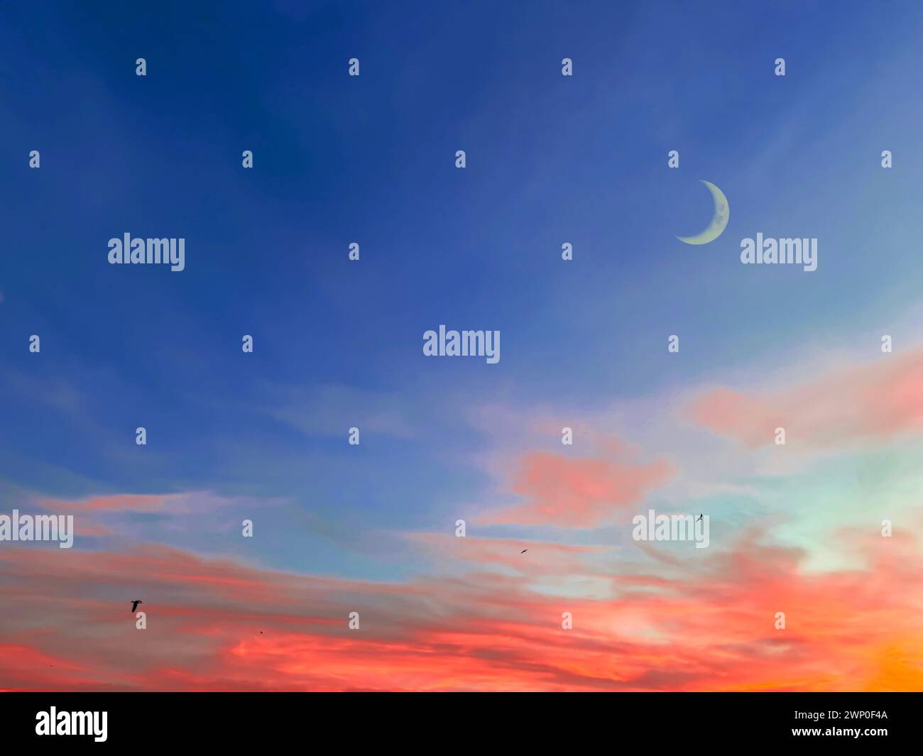 Sfondo islamico con luna crescente in serata con un colorato cielo crepuscolo. Foto Stock