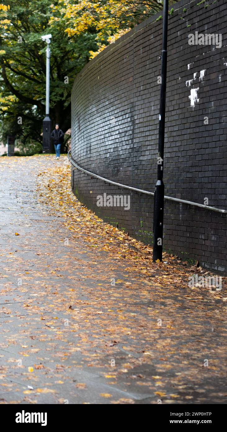 Strade ricoperte di foglie cadute in autunno Foto Stock