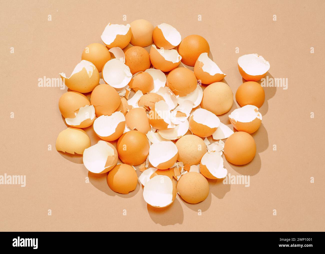 Composizione monocromatica a forma di spirale di gusci d'uovo rotti Foto Stock