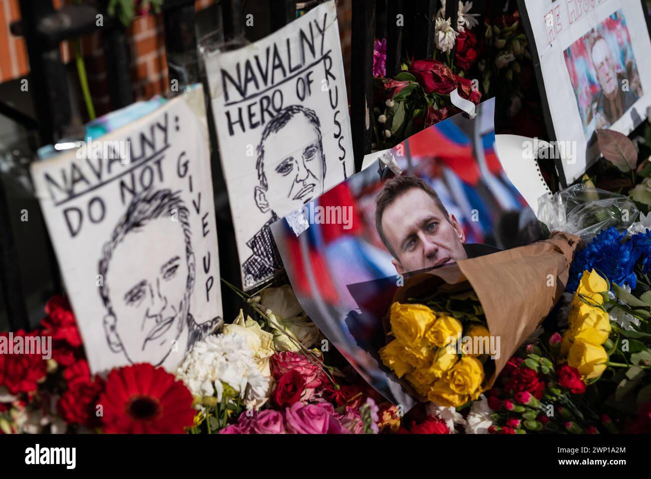 Londra, Regno Unito. 5 marzo 2024. Fiori e tributi continuano ad essere collocati di fronte all'Ambasciata di Russia a Londra occidentale per l'attivista dell'opposizione russa Alexi Navalny, morto in prigione il 16 febbraio. L'Occidente e i sostenitori dicono che Navalny è stato assassinato e ritiene responsabile il governo russo. Crediti: Guy Corbishley/Alamy Live News Foto Stock