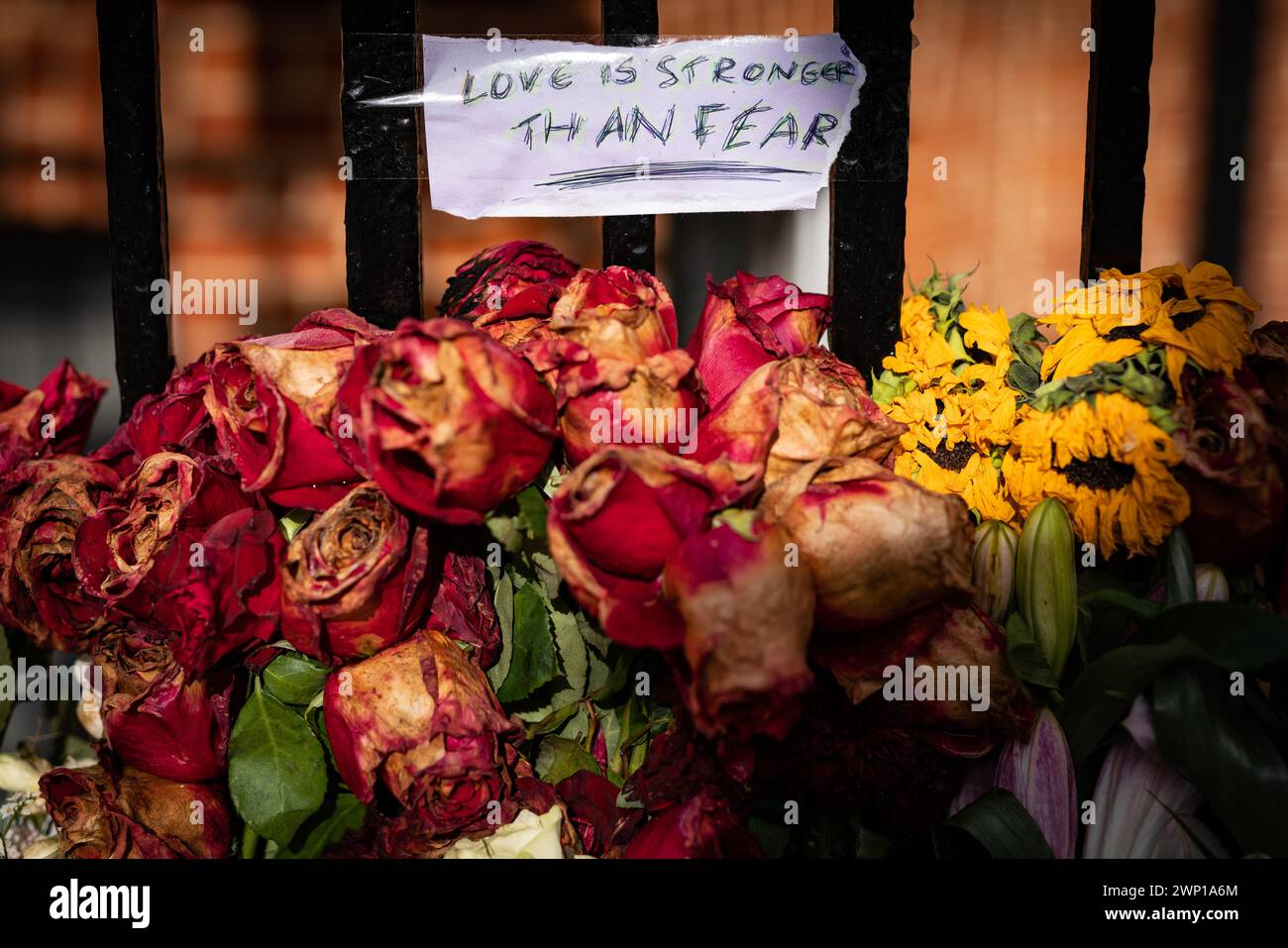 Londra, Regno Unito. 5 marzo 2024. Fiori e tributi continuano ad essere collocati di fronte all'Ambasciata di Russia a Londra occidentale per l'attivista dell'opposizione russa Alexi Navalny, morto in prigione il 16 febbraio. L'Occidente e i sostenitori dicono che Navalny è stato assassinato e ritiene responsabile il governo russo. Crediti: Guy Corbishley/Alamy Live News Foto Stock