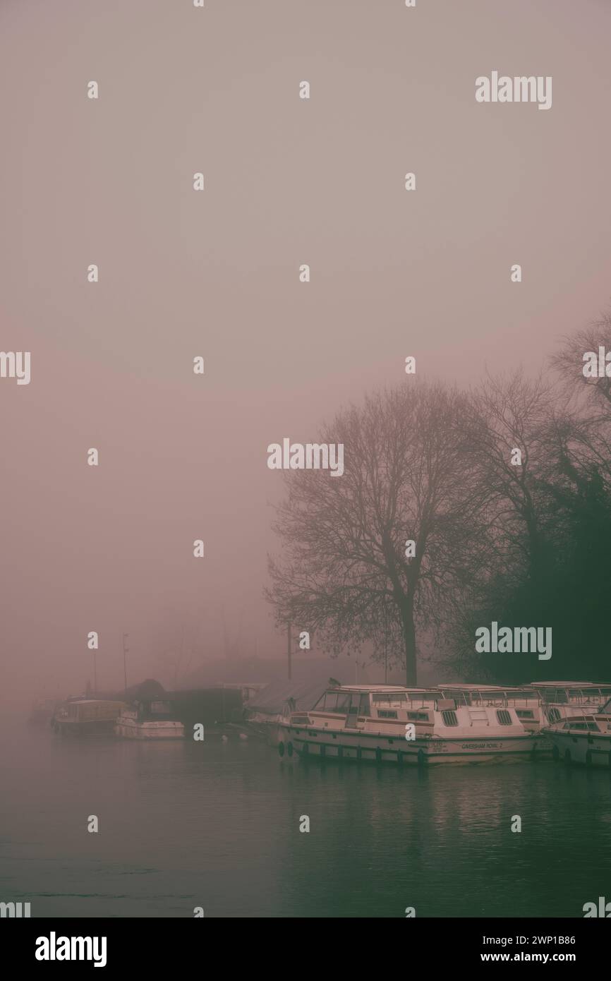 Misty Winter Landscape, Frys Island, fiume Tamigi, Reading, Berkshire, Inghilterra, Regno Unito, Gran Bretagna. Foto Stock