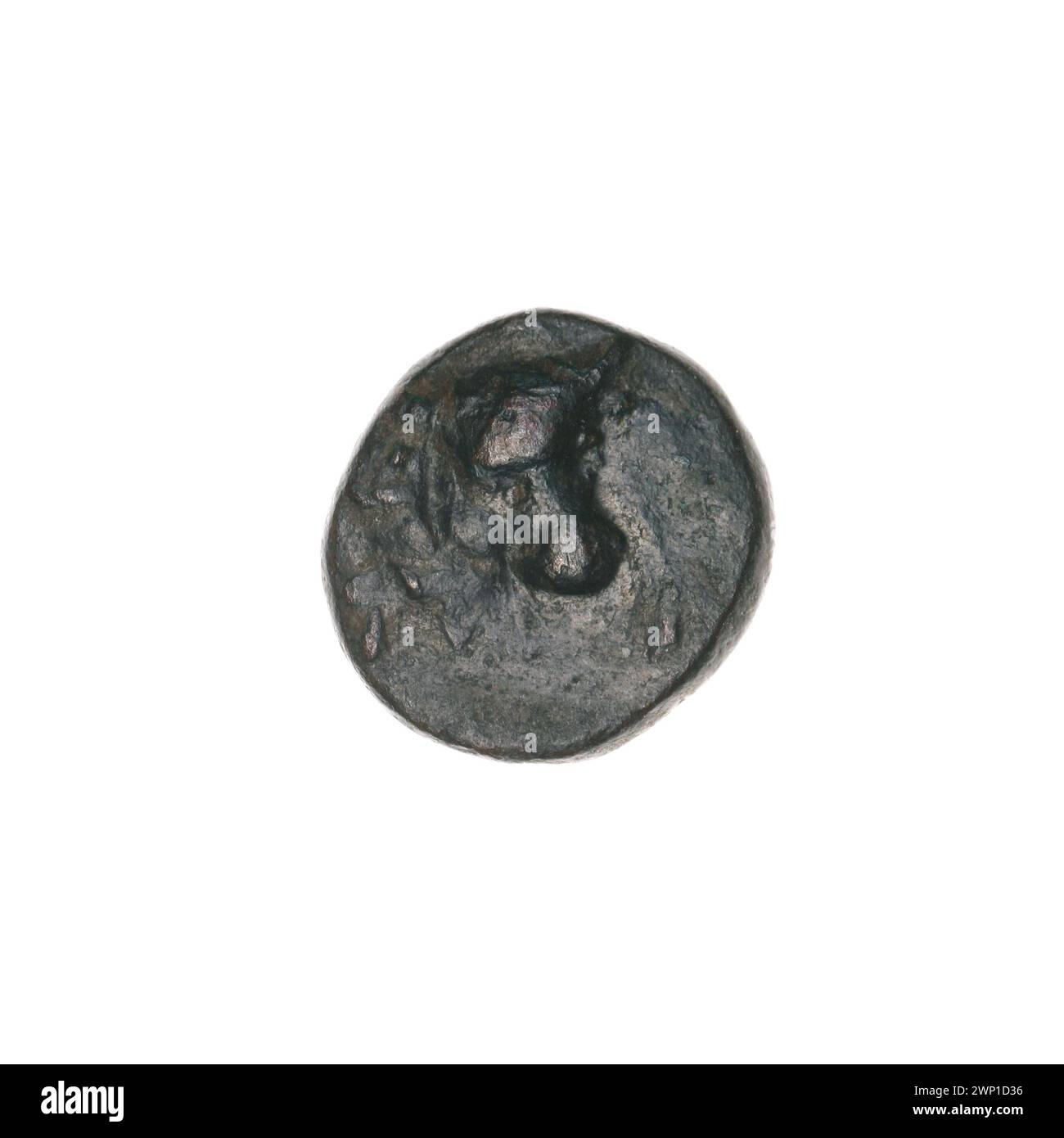 Moneta marrone Pantikapaion, III-i secolo a.C., raffigurante tori, testa di toro, orecchie, attrezzi, aratri e piante, raccolti da Ignacy Terlecki con provenienza. Foto Stock