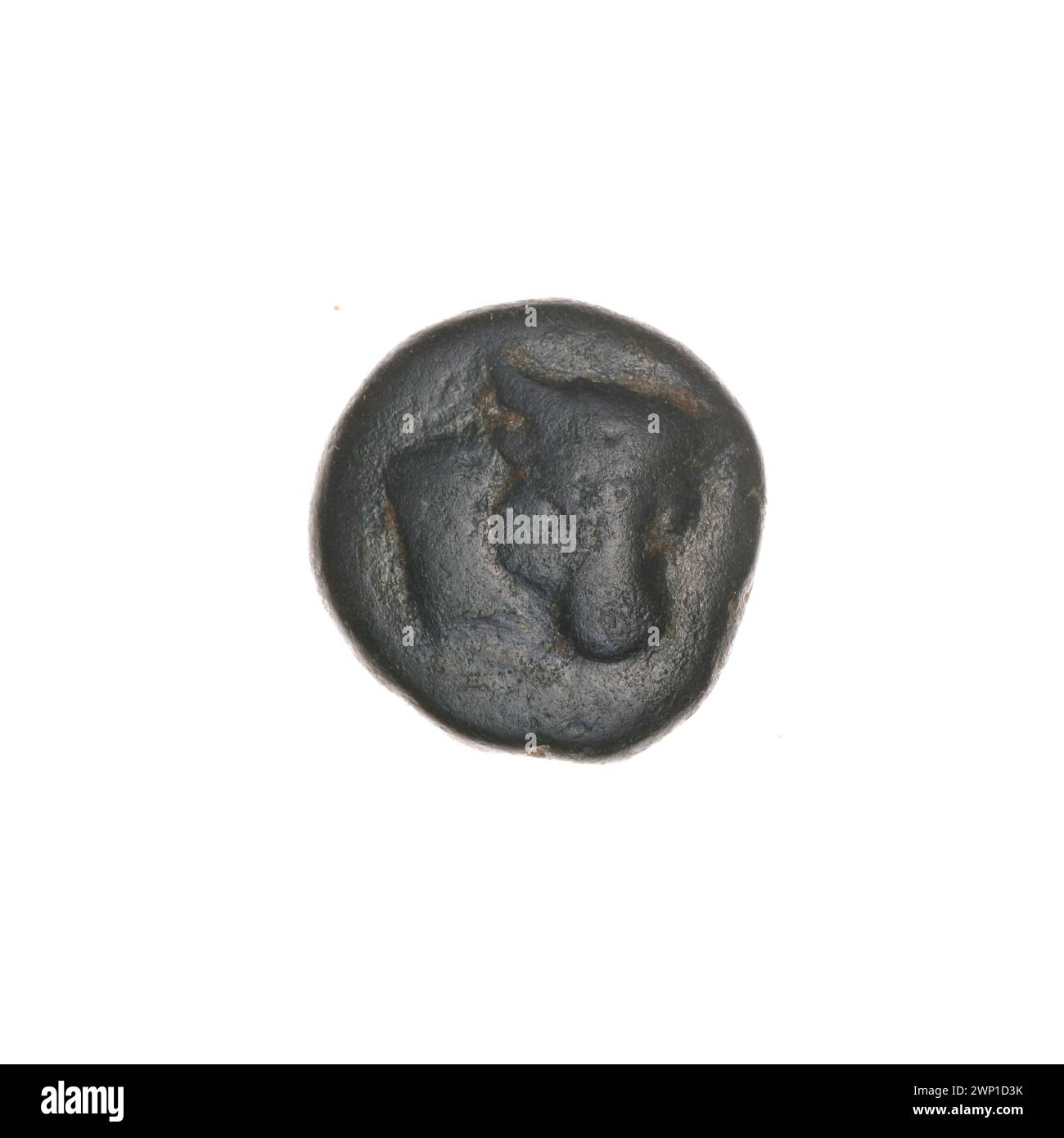 Moneta marrone Pantikapaion della fine del III-i secolo a.C., che mostra tori, testa di toro, orecchie, aratri, attrezzi e piante, raccolti da Ignacy Terlecki con provenienza. Foto Stock