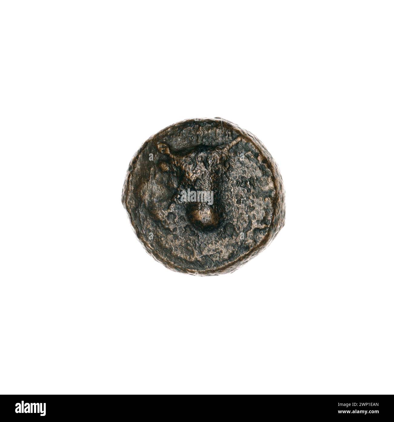 Moneta marrone di Pantikapaion, fine III-i secolo a.C., raffigurante tori, testa di toro, orecchie, aratri, strumenti, piante e animali, con provenienza documentata. Foto Stock