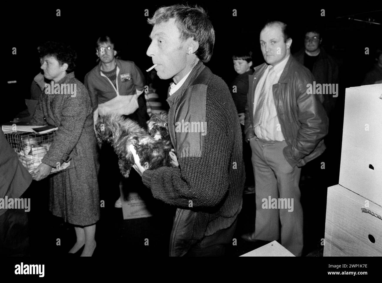 Commercio di cani da compagnia nel Regno Unito. Gli allevatori di cani con licenza e senza licenza portano i loro cuccioli a Tony Yeomans, che è un commerciante autorizzato, opera dal retro di un grande furgone di transito da vari punti di prelievo "last minute" in tutta la città. 1980 1989 Carmarthen, Galles. HOMER SYKES Foto Stock