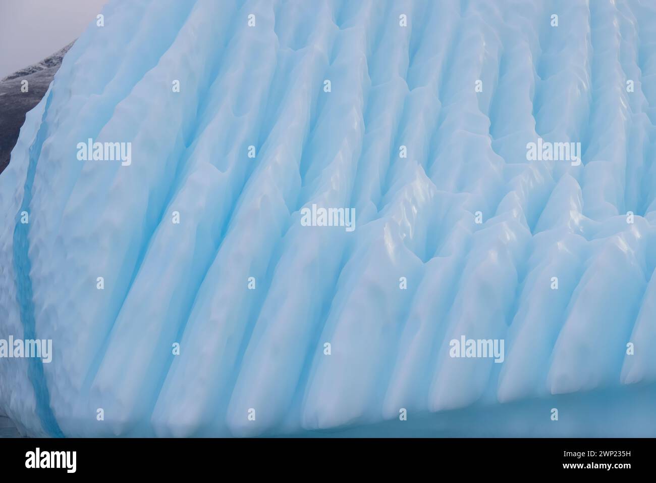 Primo piano di pieghe e crepacci dettagliati nel ghiaccio blu dell'iceberg che galleggia al largo della Groenlandia di Nanortalik, mostrando crepacci verticali lineari con sfumature blu Foto Stock