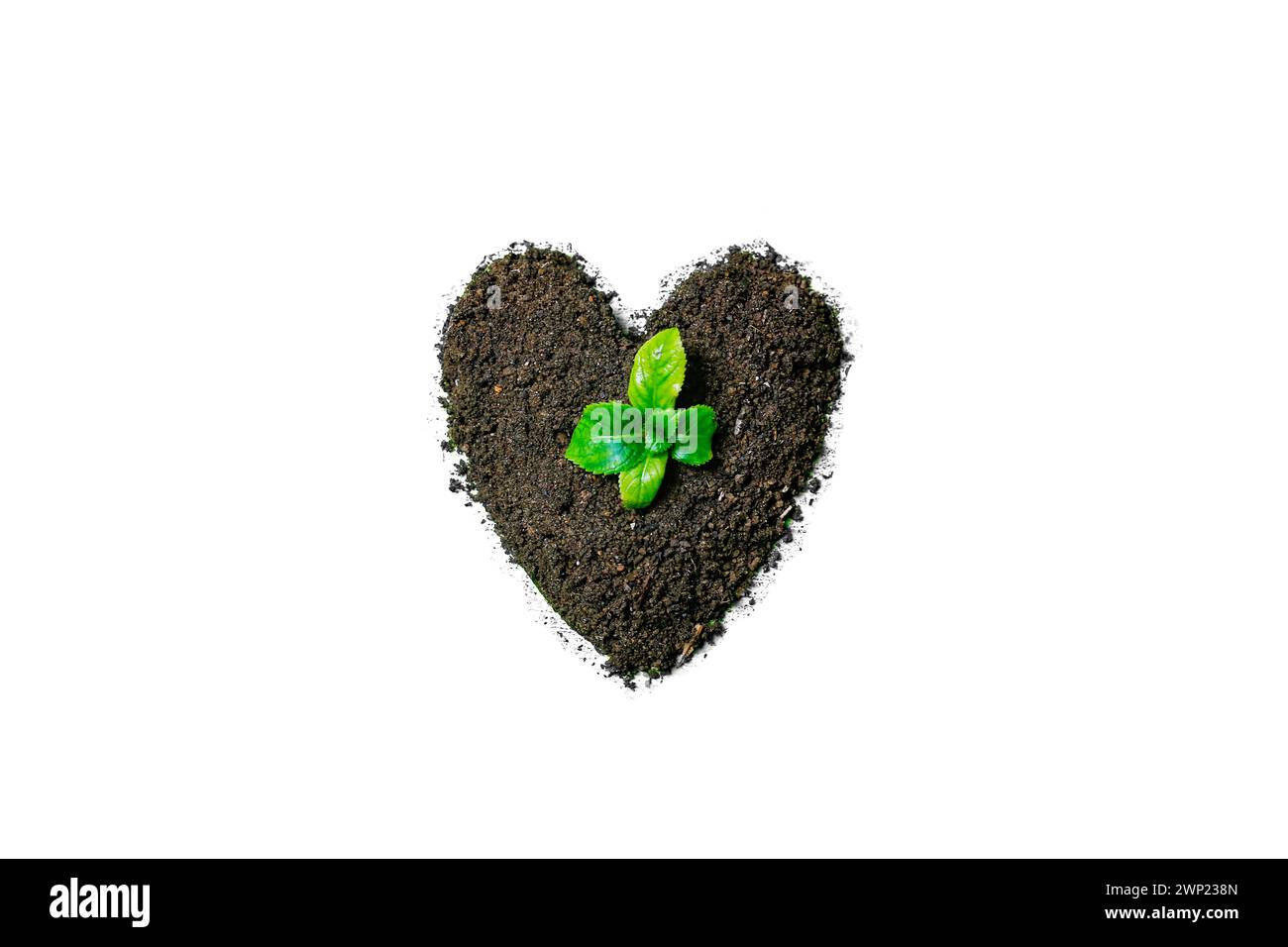 Cuore di terra e un piccolo germoglio su un piatto bianco. Il concetto di fame e carenza di cibo. isolare su bianco Foto Stock