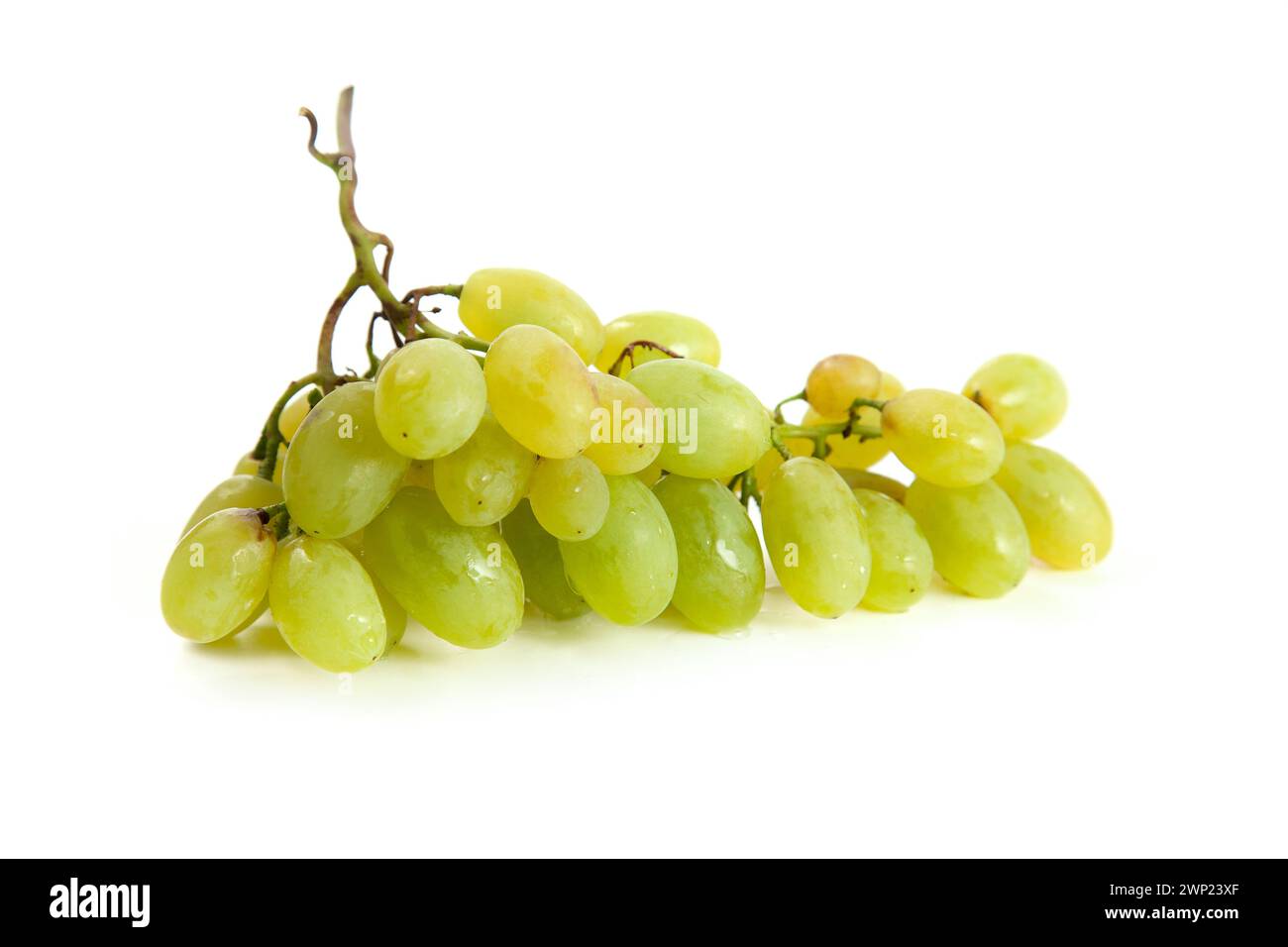Grande mazzo di uva verde matura isolato su fondo bianco. Uva da vino bianco con ombra morbida isolata sul bianco. Foto Stock