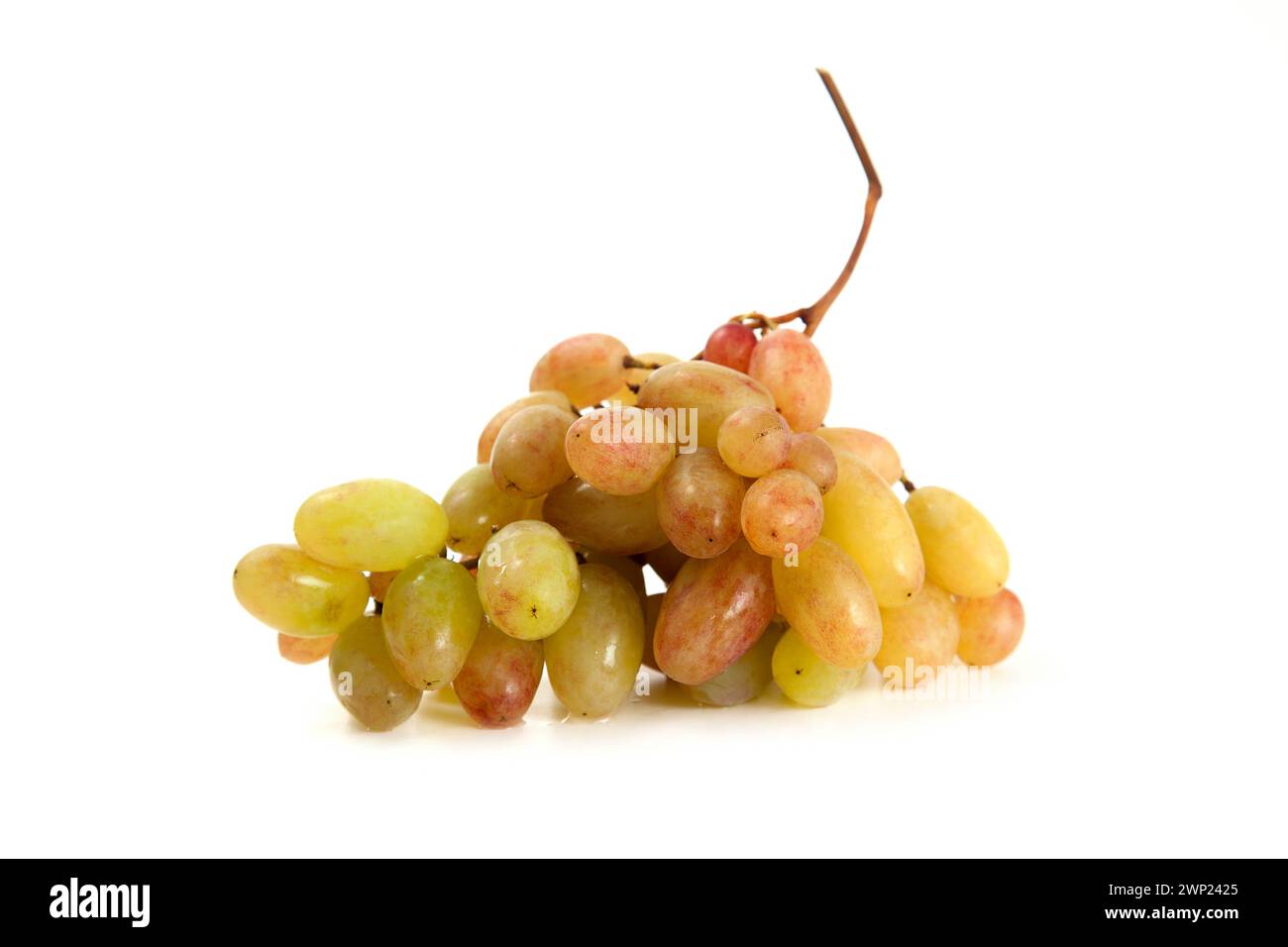 Grappolo di uva da vino rosa con ombra soffice isolata su fondo bianco. Foto Stock