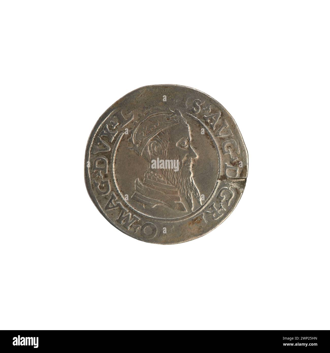 Moneta del 1565 con i quattro lituani emessi dal re polacco Zygmunt II August, con disegni araldici, iscrizioni e dettagli metallici della metà del XVI secolo. Foto Stock