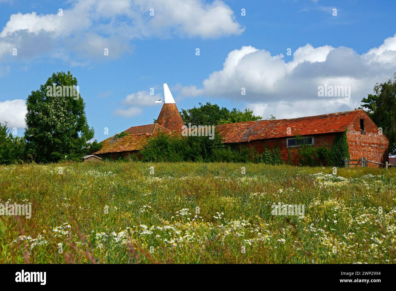 Casa di Oast, fienile e prato di fiori selvatici accanto a High Weald Walk lungo sentiero distince in inizio estate, Tudeley, Kent, Inghilterra Foto Stock