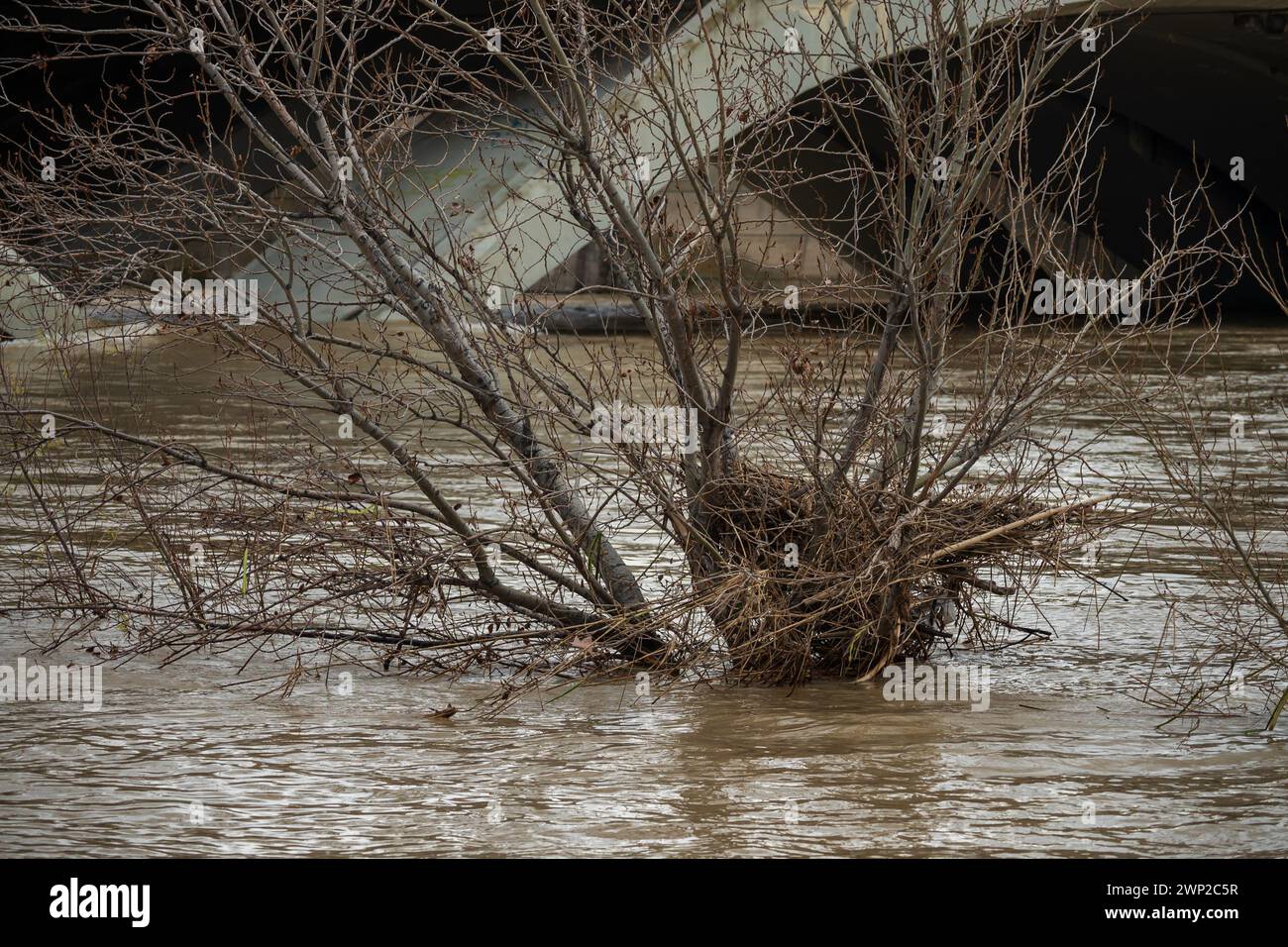 Inondazione del fiume Ebro attraverso Saragozza, Aragona, Spagna Foto Stock