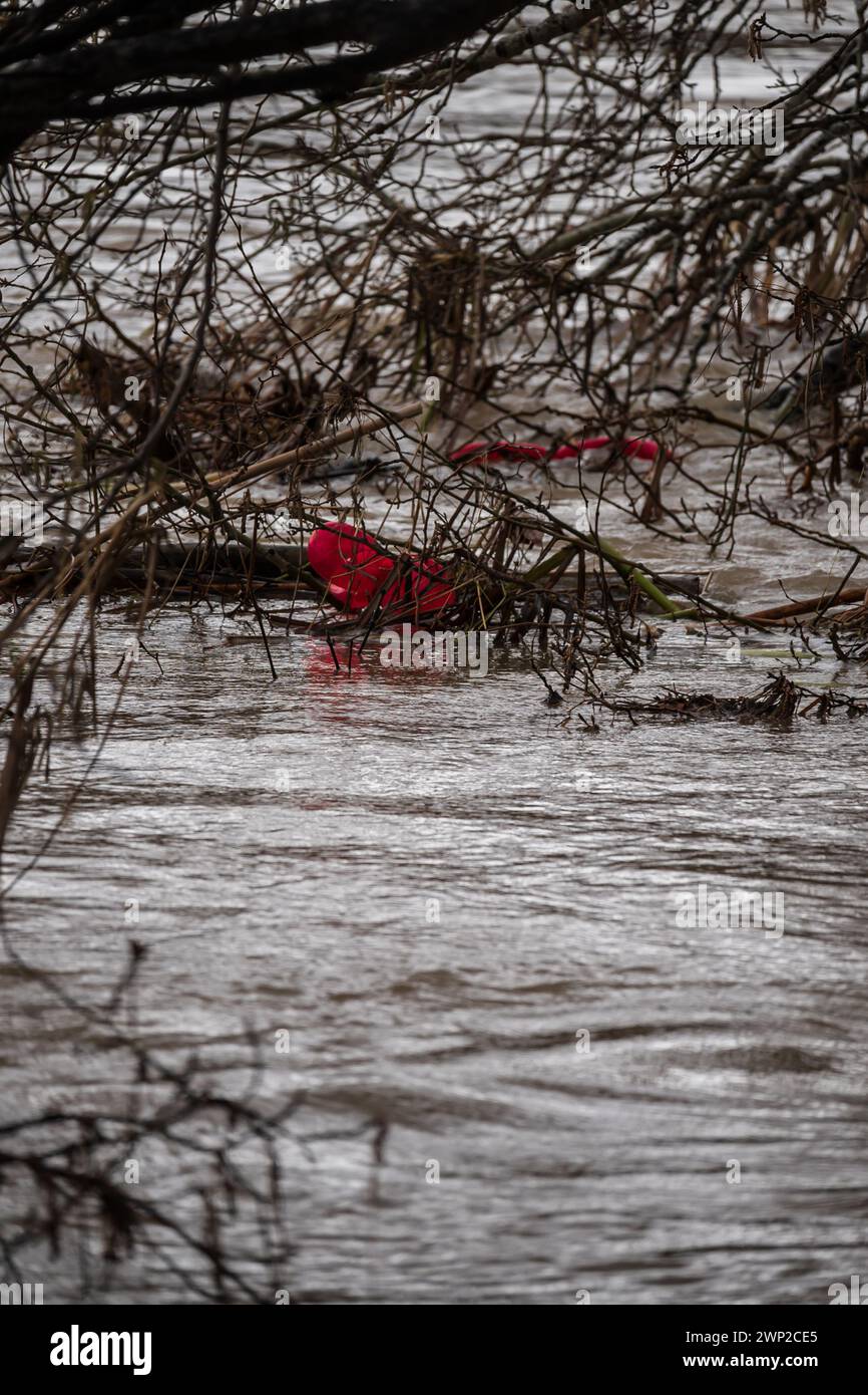 Sacchetto di plastica agganciato a un ramo durante l'alluvione del fiume Ebro attraverso Saragozza, Aragona, Spagna Foto Stock