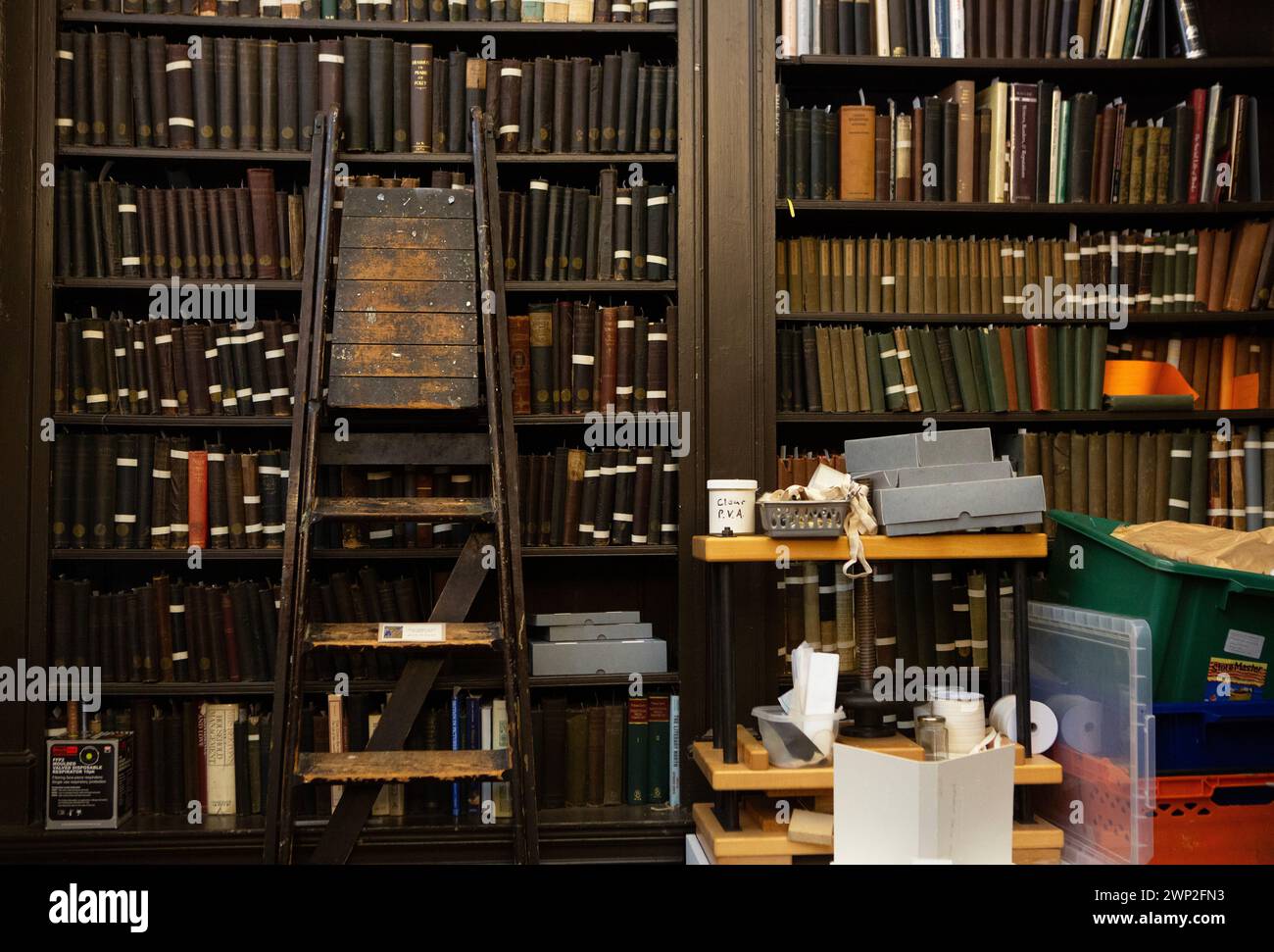 La biblioteca Portico in Mosley Street a Manchester, fondata nel 1806. La libreria, che è una libreria di abbonamento indipendente progettata in Foto Stock