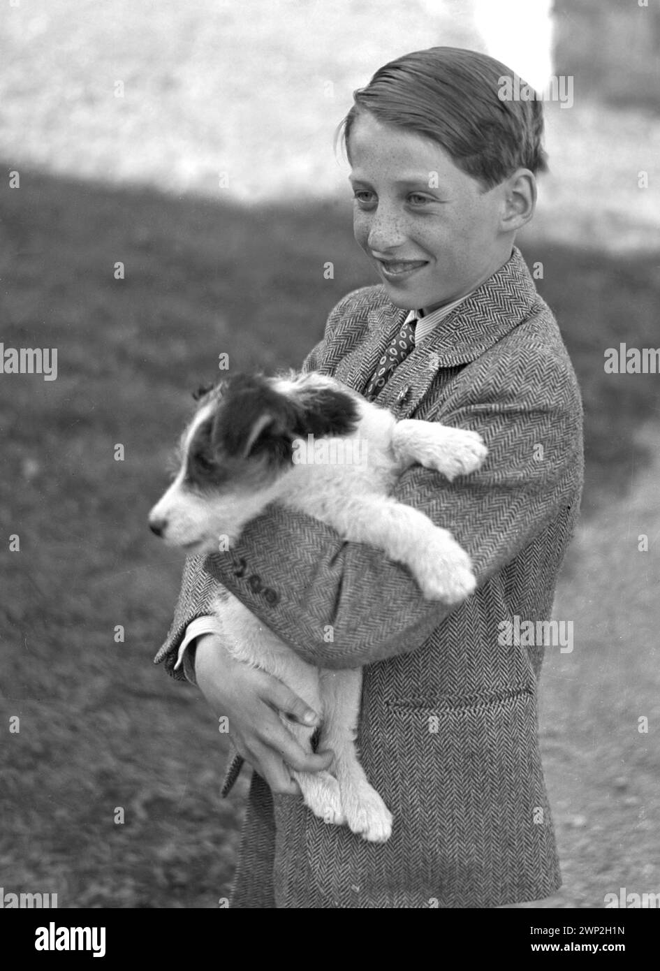 Asker 19460524. La famiglia del principe ereditario ha fotografato a Skaugum. Qui vediamo il principe Harald con il cane di famiglia. Foto: Archivio NTB / NTB Foto Stock