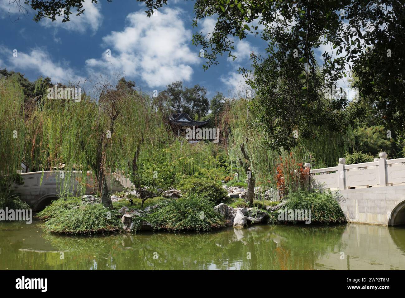 Il lago di Frangance riflessa e il ponte del nastro di giada circondati da alberi e piante nei giardini cinesi dei giardini botanici di Huntington, Foto Stock