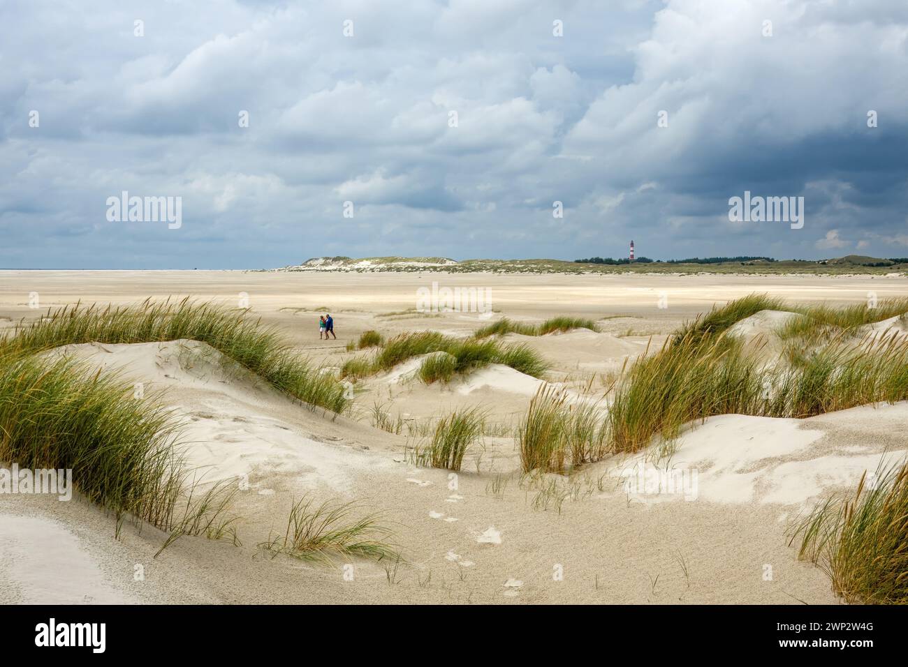 Dune di sabbia della spiaggia di Kniepsand vicino a Wittdun sull'isola di Amrum, Frisia settentrionale, Schleswig-Holstein, Germania Foto Stock