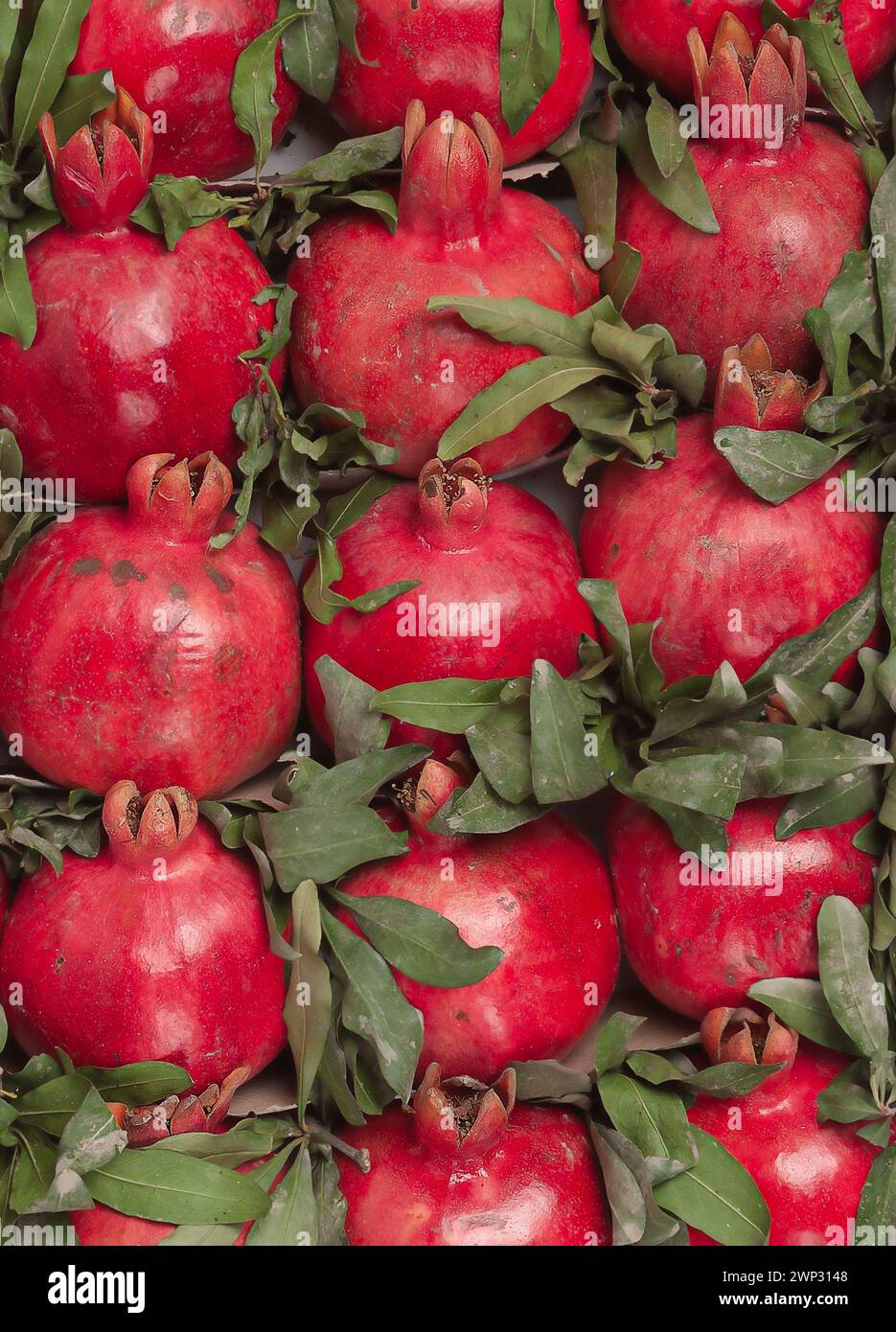 Melograni rossi impilati in file. Frammento, vista dall'alto. Consegna della frutta. Foto Stock