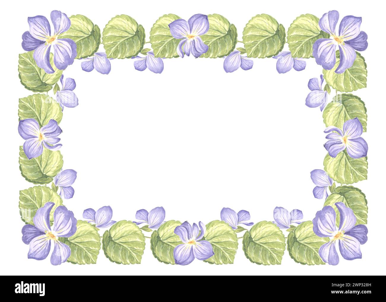 Cornice orizzontale da viola selvatico con foglie verdi. Illustrazione isolata ad acquerello disegnata a mano del modello del fiore di pansia a molla con copia sp Foto Stock