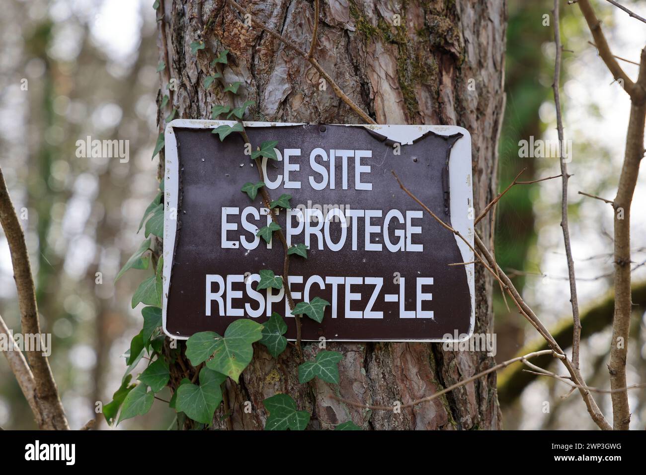 Grotta Lascaux originale. Foresta di querce e copertura vegetale sopra l'originale grotta di Lascaux. Gli impianti tecnici in superficie contribuiscono alla conservazione Foto Stock
