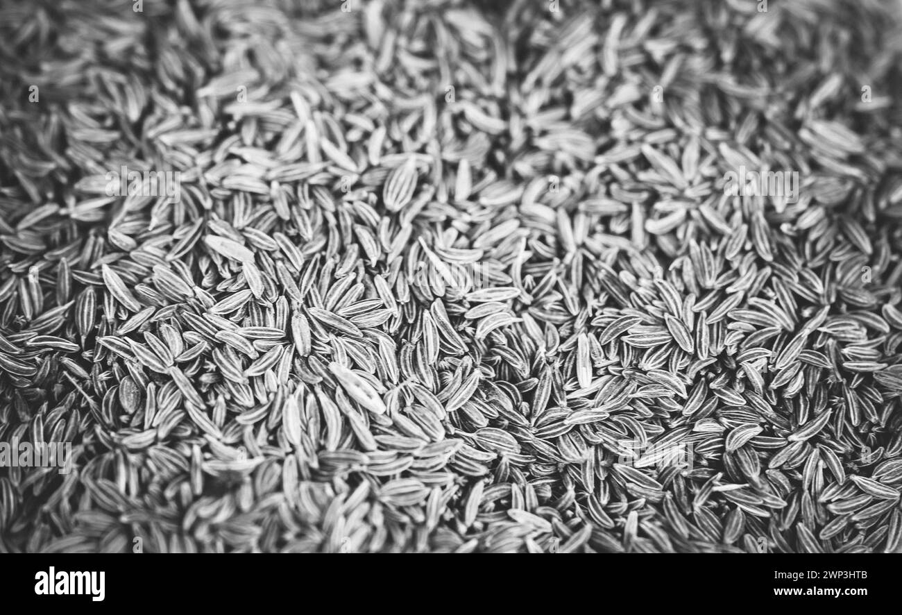 cibo colorato come sfondo astratto o carta da parati Foto Stock