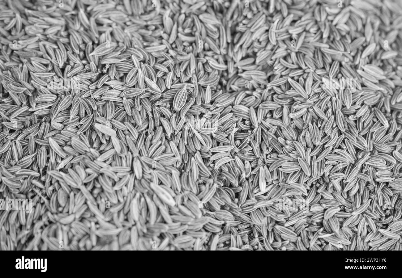 cibo colorato come sfondo astratto o carta da parati Foto Stock