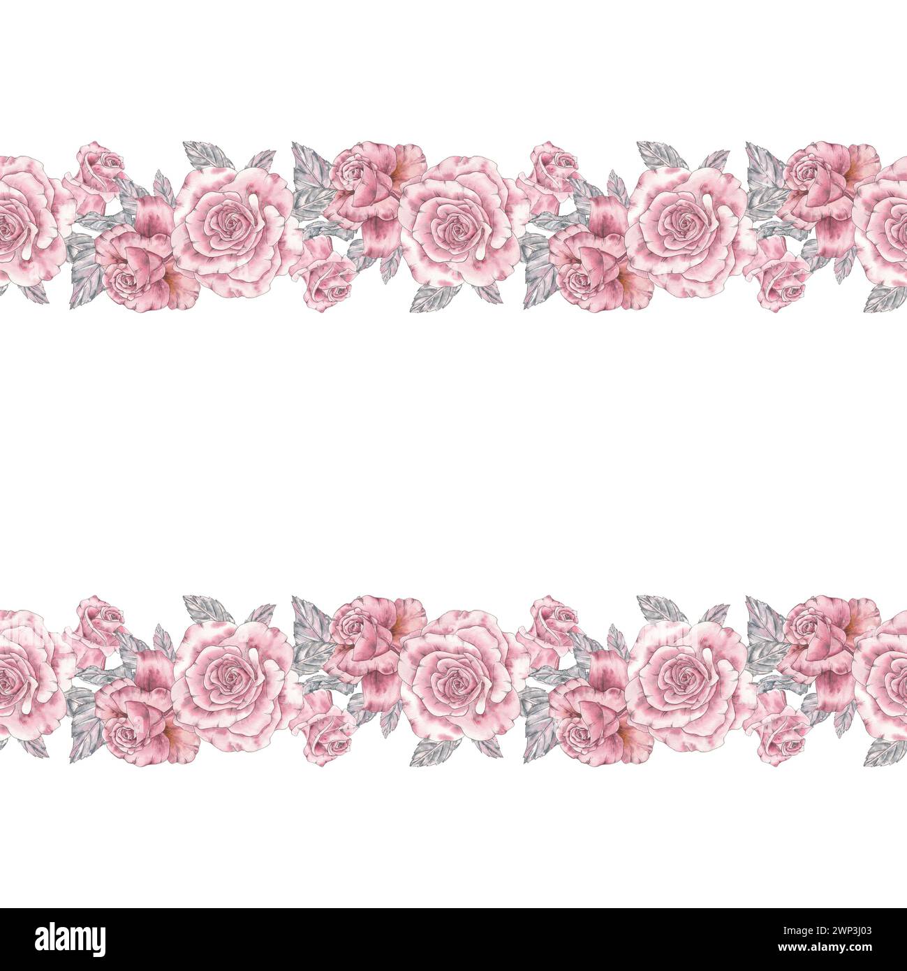 Motivo senza cuciture con fiori ad acquerello rosa rosa vintage che disegna a mano in stile botanico. Invito al matrimonio con stampe artistiche, grandioso Foto Stock