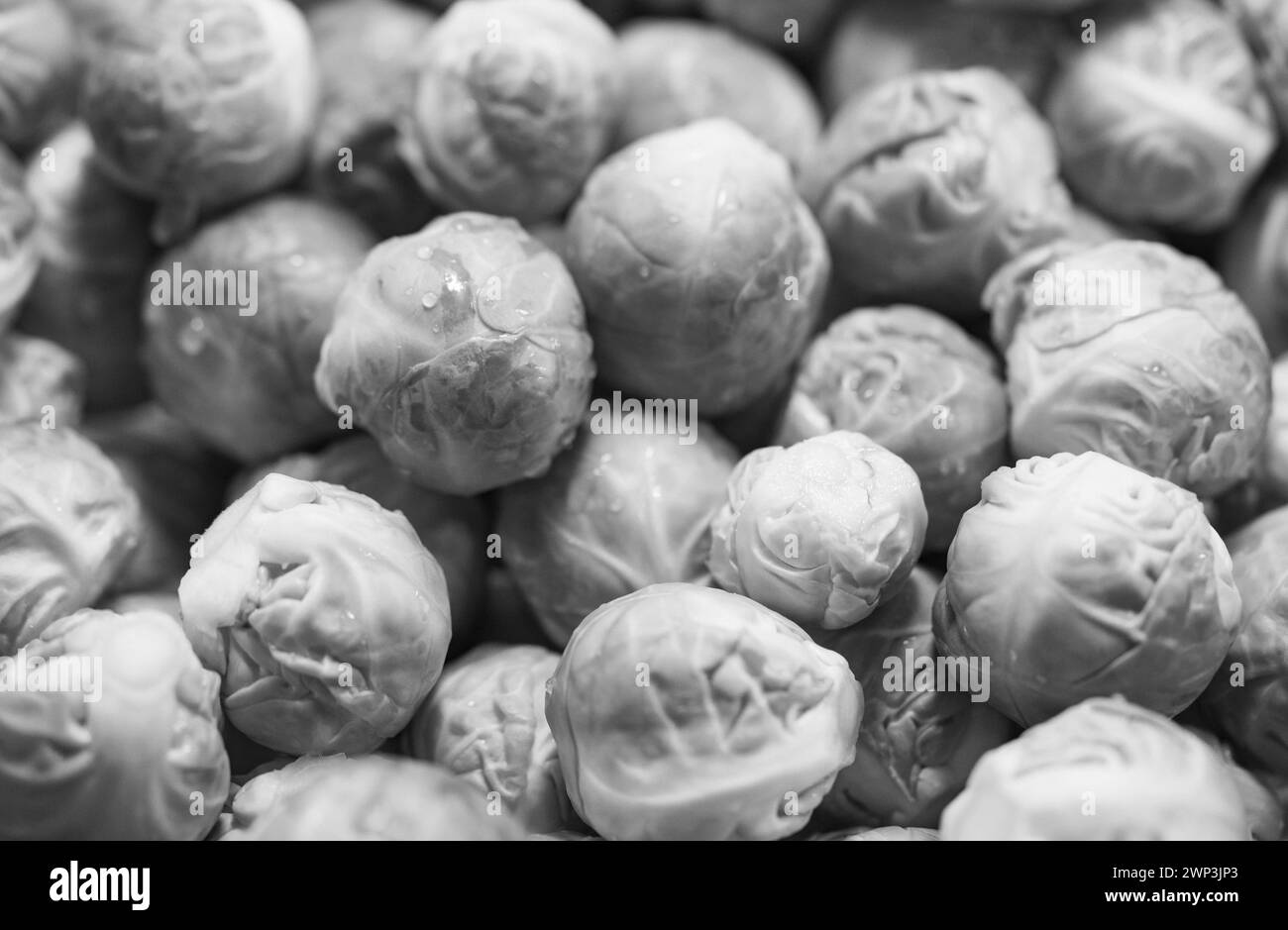 cibo colorato come sfondo astratto o carta da parati Foto Stock