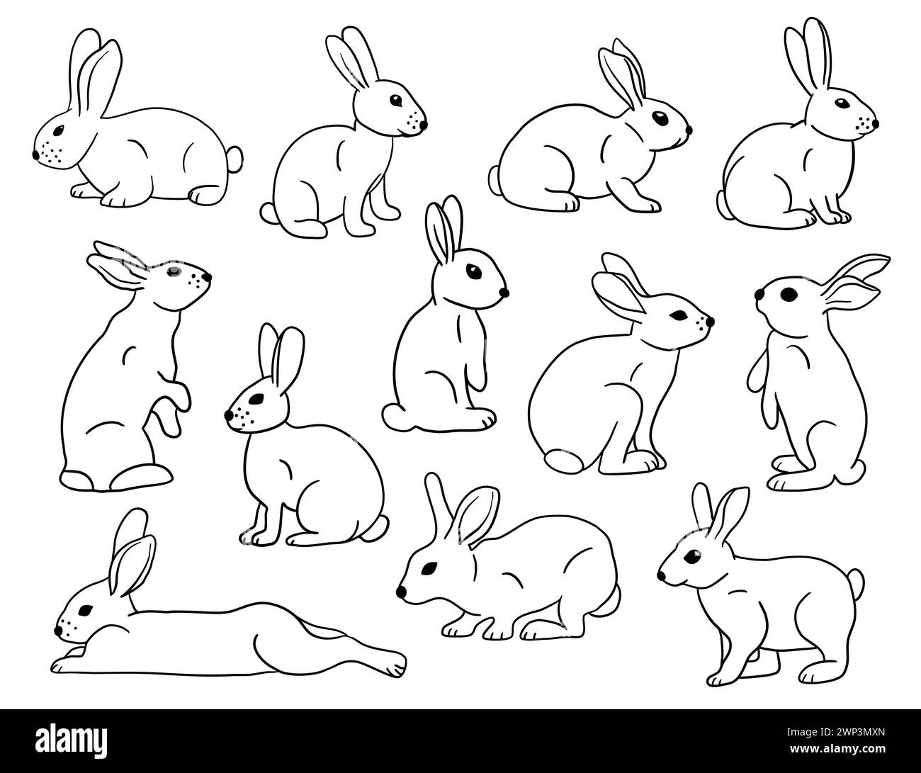 Set di silhouette di coniglio, confezione grande con design vettoriale, sfondo bianco isolato Illustrazione Vettoriale