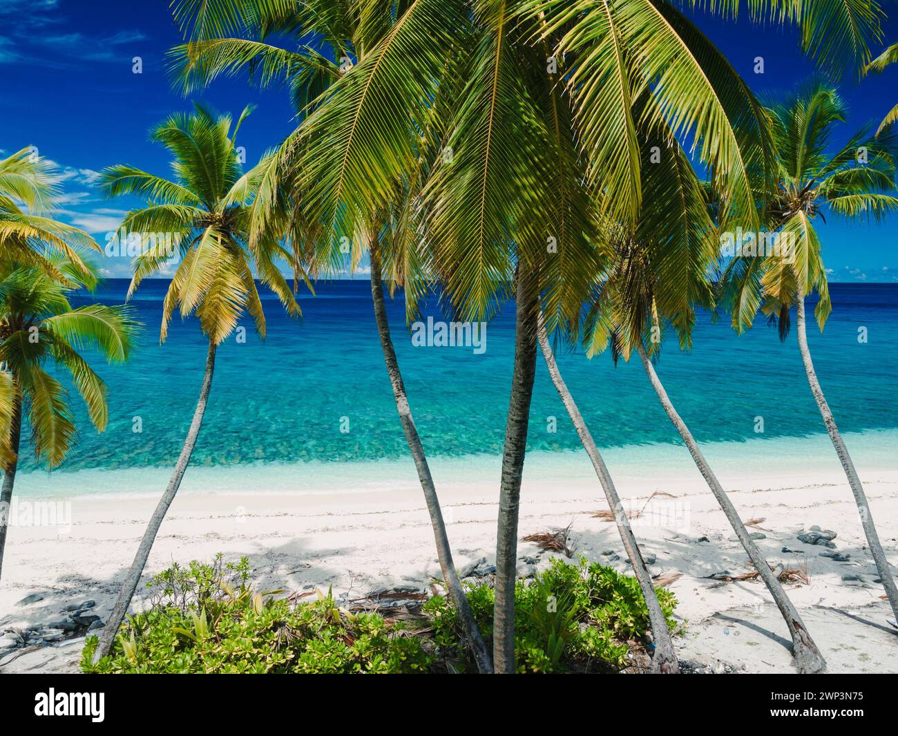 Paradiso tropicale spiaggia tropicale delle Maldive sull'isola. Concetto di vacanza di viaggio. Foto Stock