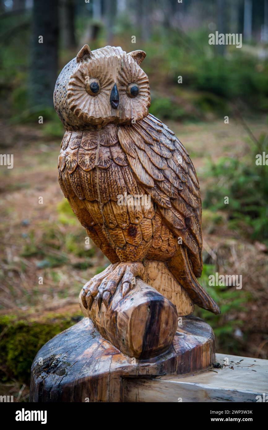 Figura lignea di un gufo nella "foresta infestata" (Zauberwald Scheiben) - Waldviertel, Naturpark Scheiben (Bad Großpertholz) Foto Stock