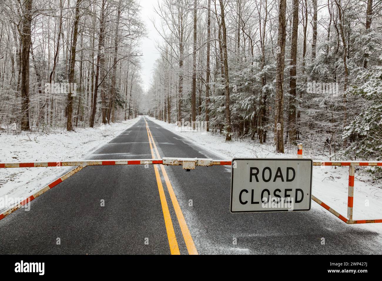 Cancello con segnale di chiusura della strada durante una neve invernale nei pressi di Cosby, Tennessee Foto Stock