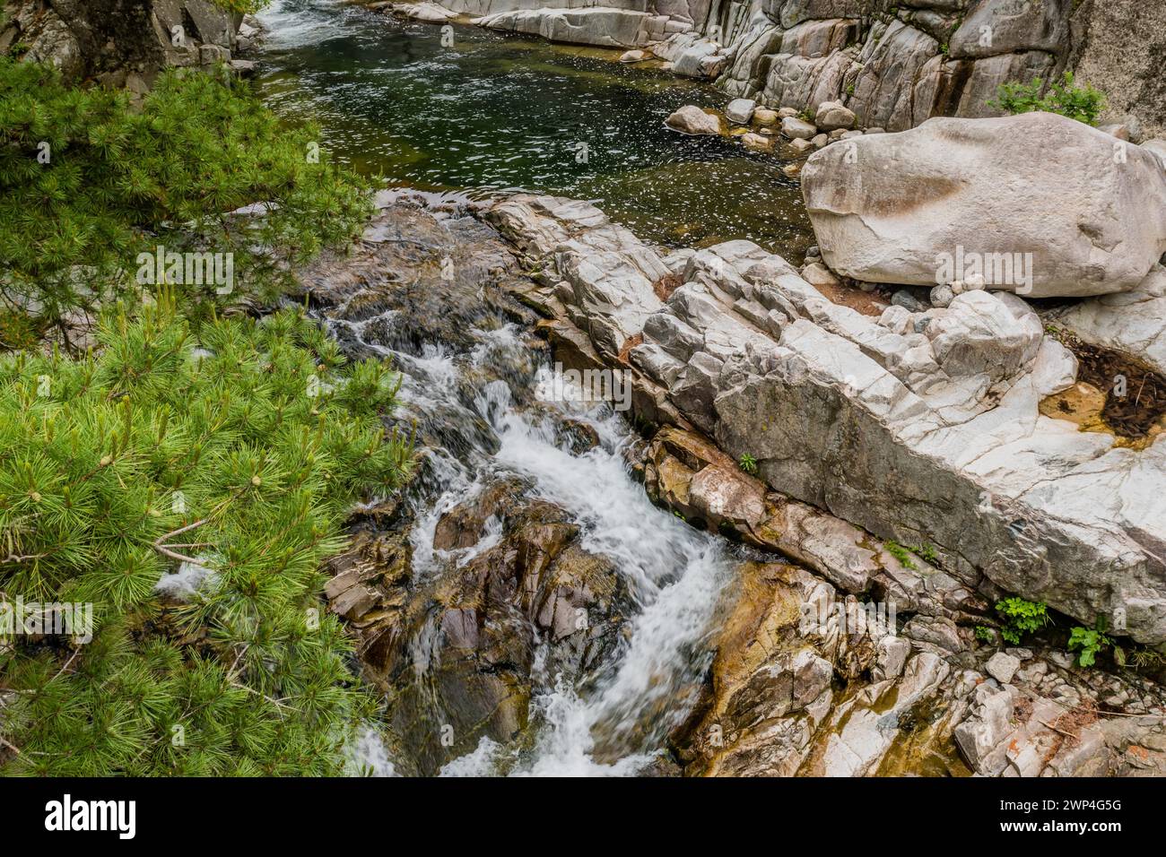 Una piccola cascata si innalza su rocce aspre tra alberi di pino, in Corea del Sud Foto Stock