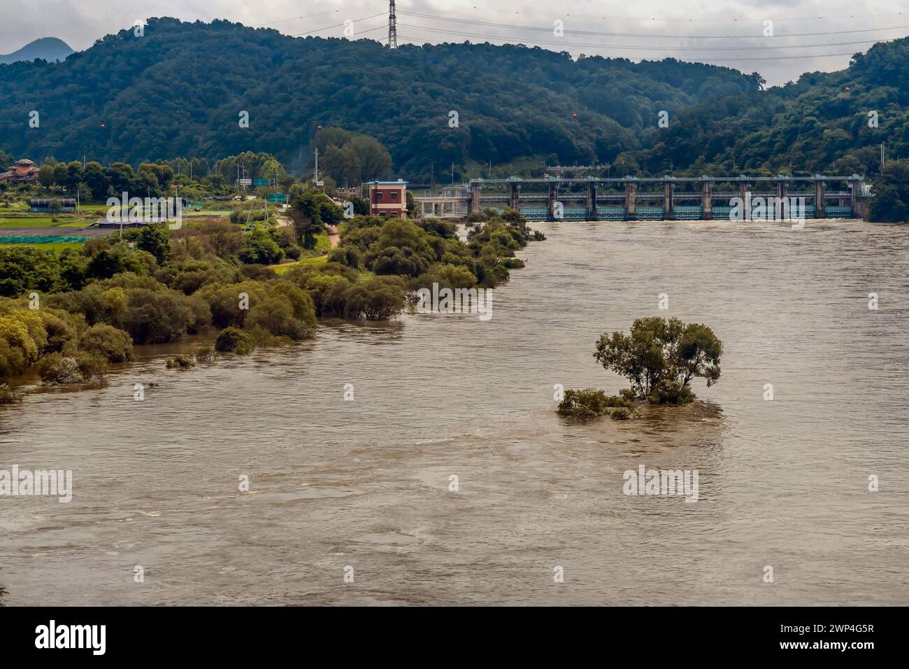 Fiume inondato vicino a una diga idroelettrica con alberi sommersi e cieli nuvolosi, in Corea del Sud Foto Stock