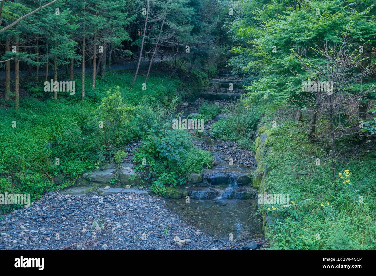 L'uomo ha creato un ruscello con terrazze in pietra nel parco di montagna selvaggio in Corea del Sud Foto Stock