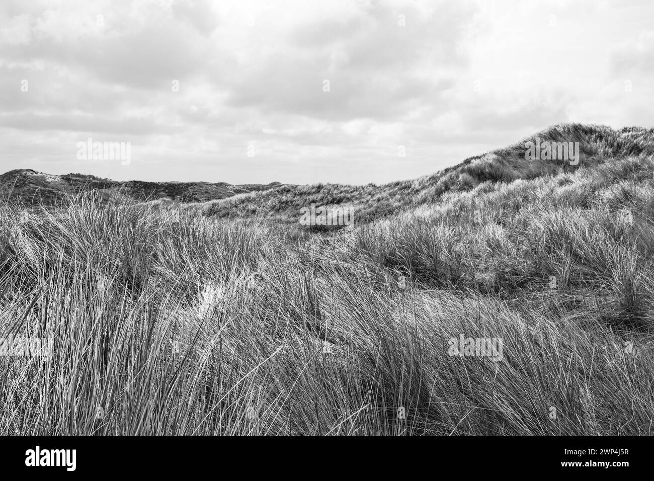 Immagine in bianco e nero ad alto contrasto di un paesaggio di dune con copertura in erba Foto Stock