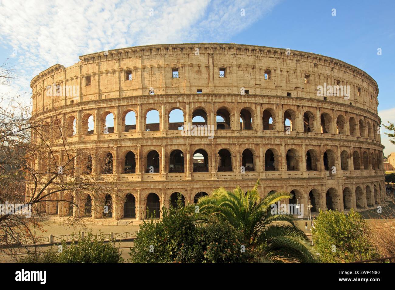 Immagine a tutto campo del famoso Colosseo circondata da una vegetazione lussureggiante e senza persone - scattata la mattina presto prima dell'arrivo della folla. Foto Stock