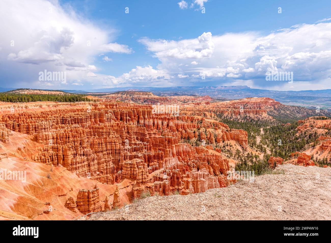 Rock hoodoos nel Brice Canyon National Park, Utah, USA Foto Stock