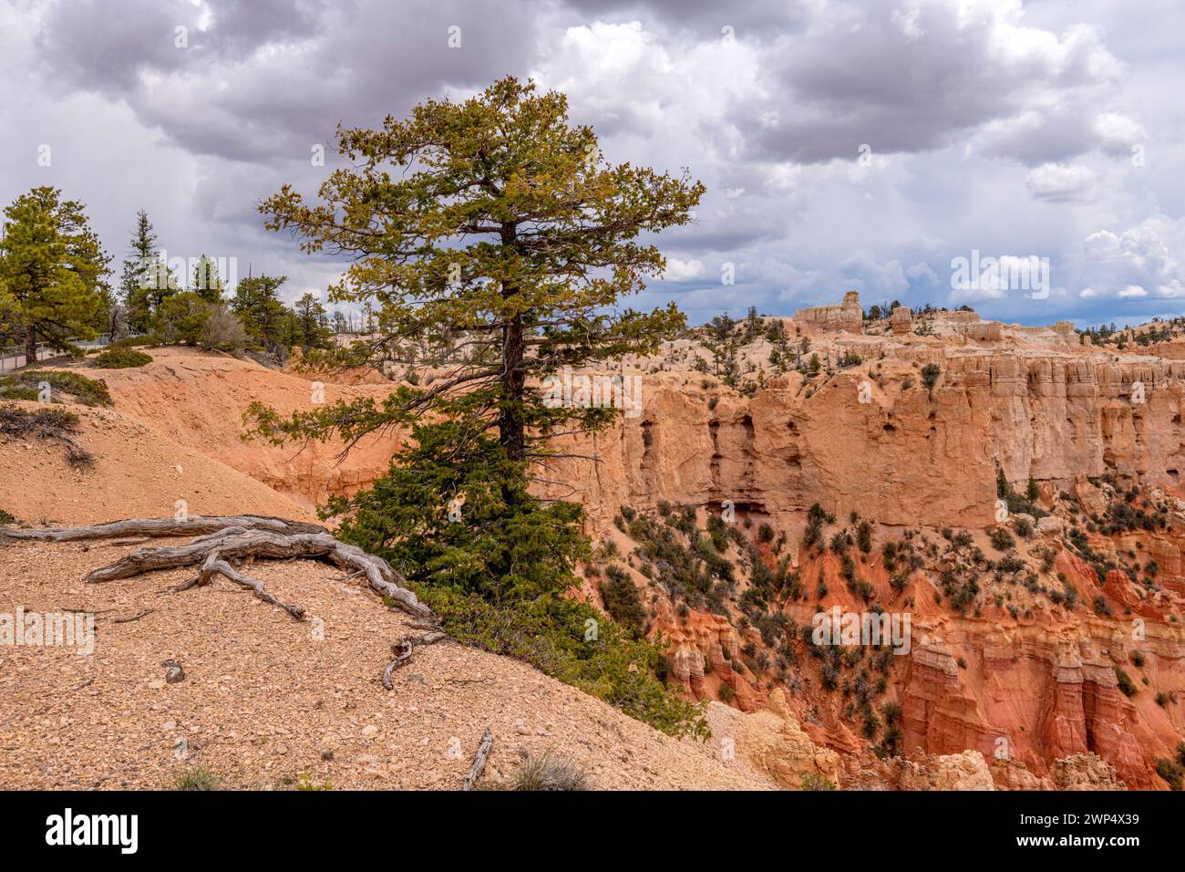 Punto di osservazione nel Brice Canyon National Park, Utah, Stati Uniti Foto Stock