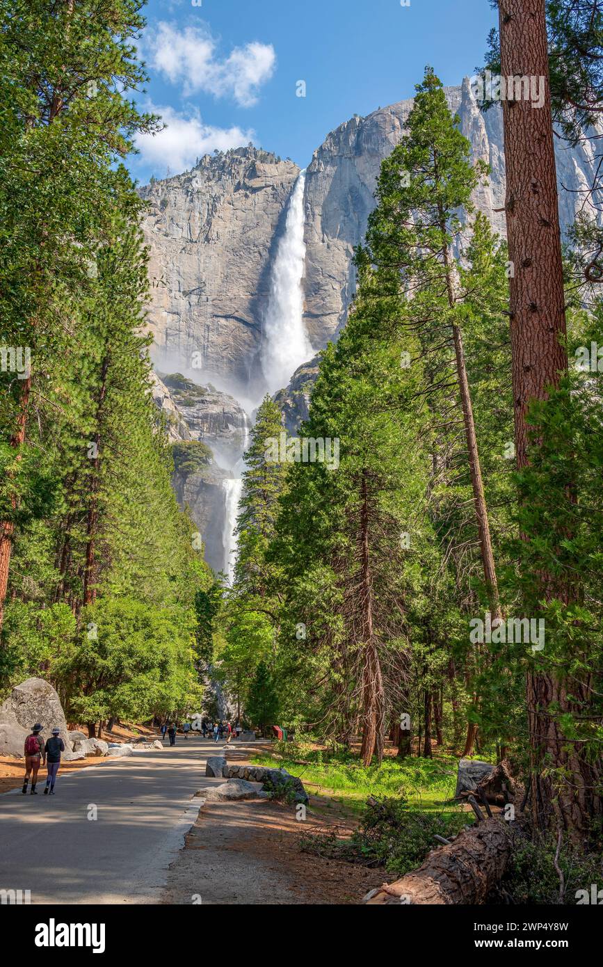 Turisti in fondo alle Yosemite Falls, California, USA Foto Stock