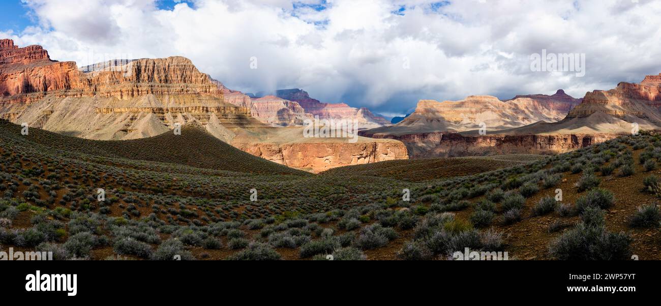 Tonto Trail, Grand Canyon National Park, Arizona, Stati Uniti Foto Stock