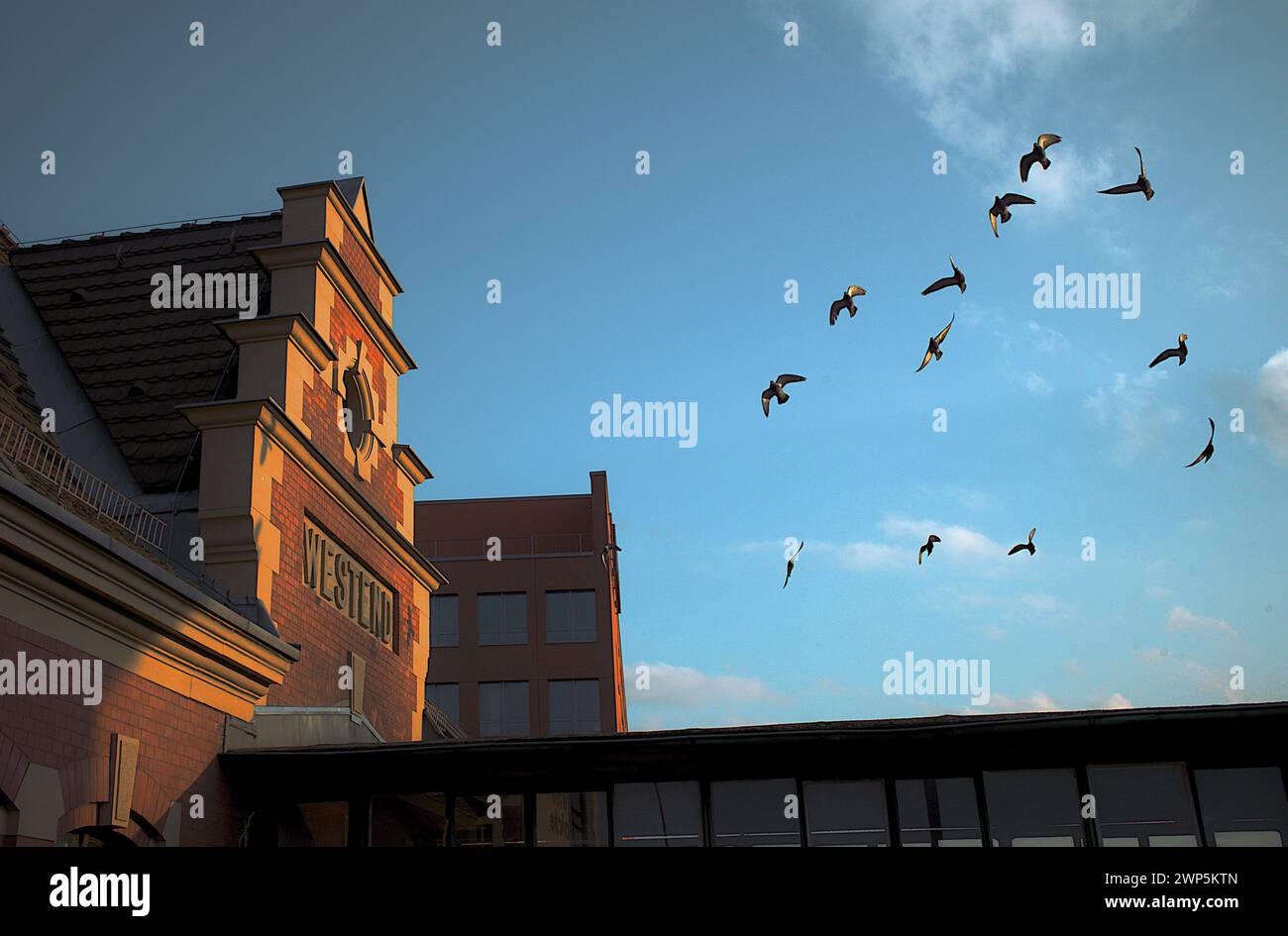 Una foto perfetta con i piccioni volanti vicino al tetto della stazione ferroviaria Westend di Berlino, Germania Foto Stock