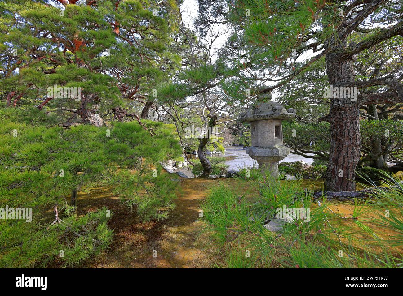 Palazzo Imperiale di Kyoto (Giardino Nazionale di Kyoto Gyoen) ex residenza della famiglia imperiale a Kyotogyoen, Kamigyo Ward, Kyoto, Giappone Foto Stock