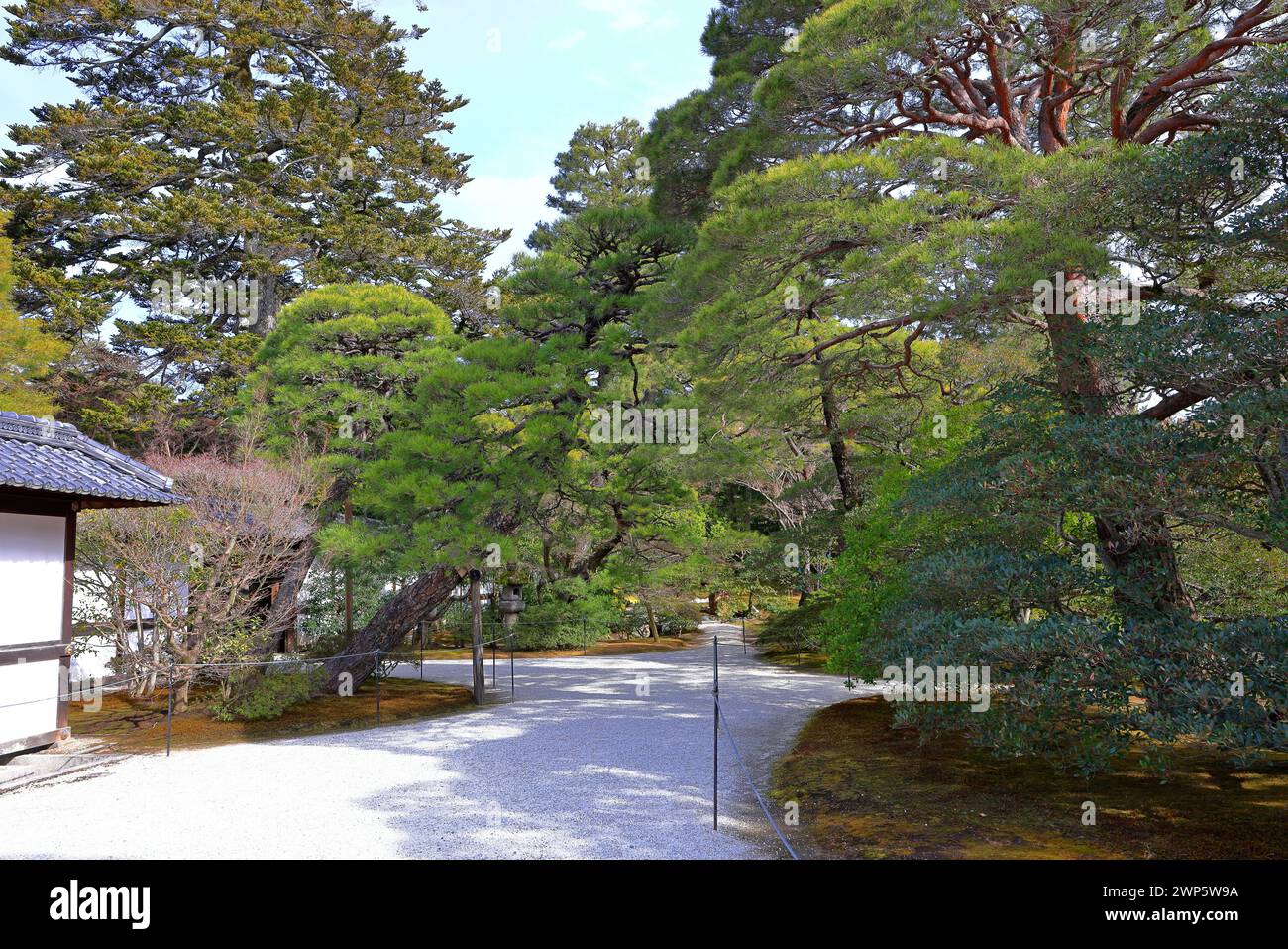 Palazzo Imperiale di Kyoto (Giardino Nazionale di Kyoto Gyoen) ex residenza della famiglia imperiale a Kyotogyoen, Kamigyo Ward, Kyoto, Giappone Foto Stock