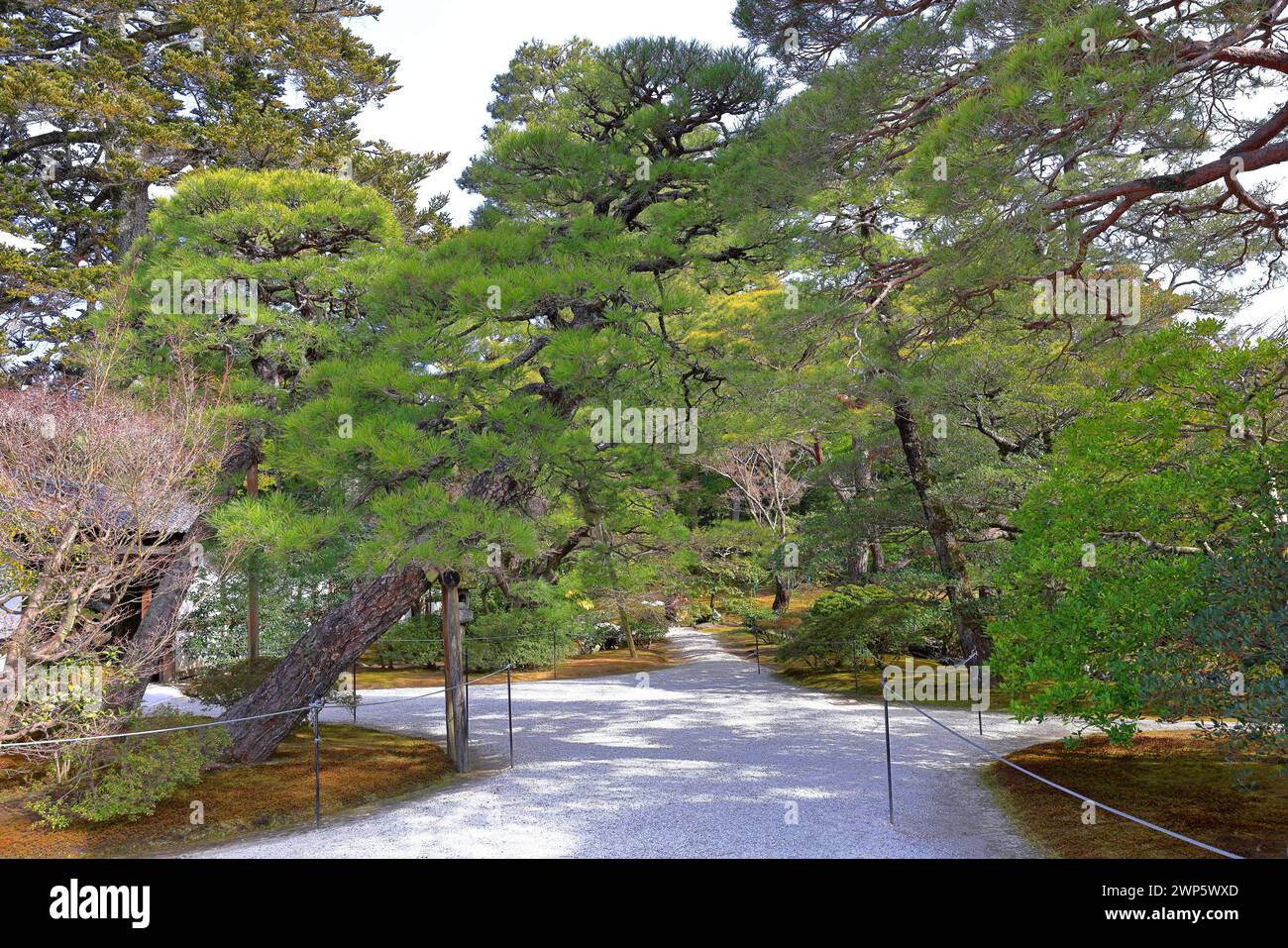 Palazzo Imperiale di Kyoto (Giardino Nazionale di Kyoto Gyoen) ex residenza della famiglia imperiale a Kyotogyoen, Kamigyo Ward, Kyoto, Giappone Foto Stock