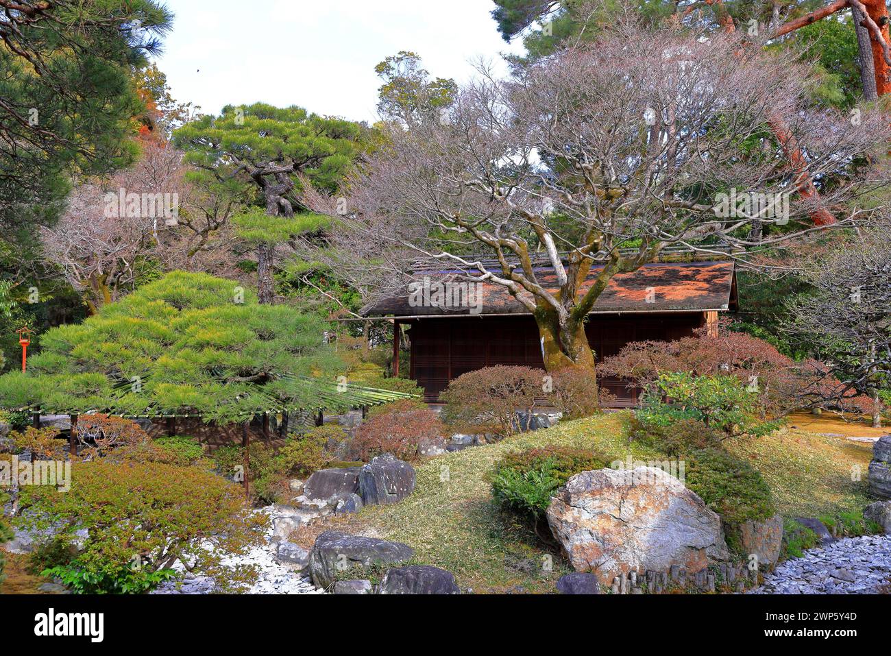 Palazzo Imperiale di Kyoto (Giardino Nazionale di Kyoto Gyoen) ex residenza della famiglia imperiale a Kyotogyoen, Kamigyo Ward, Kyoto, Giappone Foto Stock
